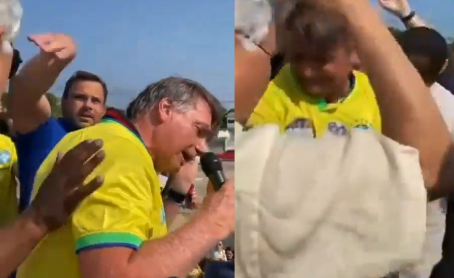 bolsonaro abelhas