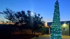 Árvore de Natal com garrafas de cerveja