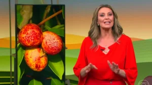 Audiência da TV: Globo Rural explode e tem mais ibope que SBT e Record juntas