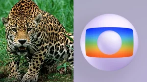 Novela da Manchete bateu a Globo em 1990