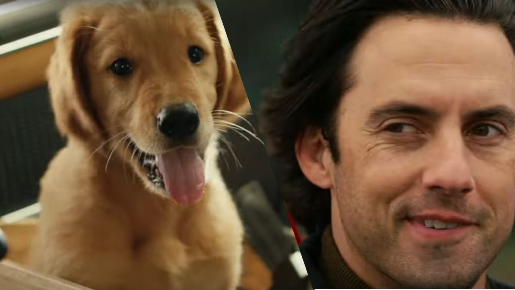 Meu Amigo Enzo (Foto: Reprodução/Youtube)