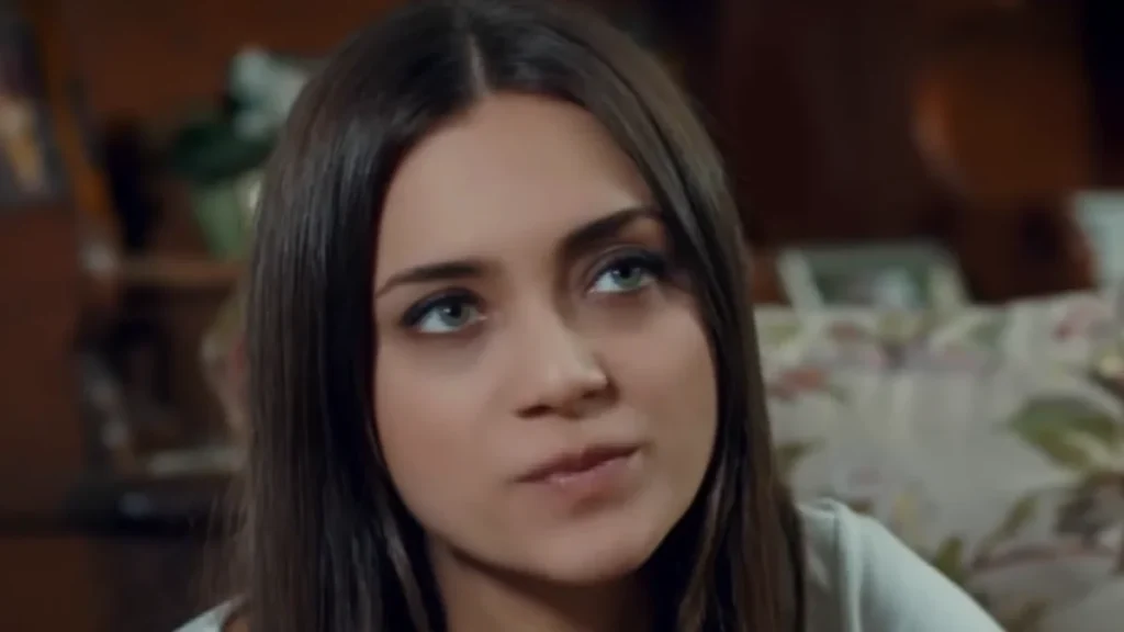 Tudo sobre a novela Guerra das Rosas