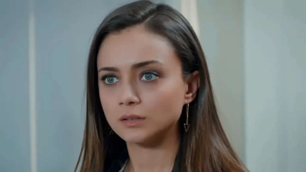 Tudo sobre a novela Guerra das Rosas